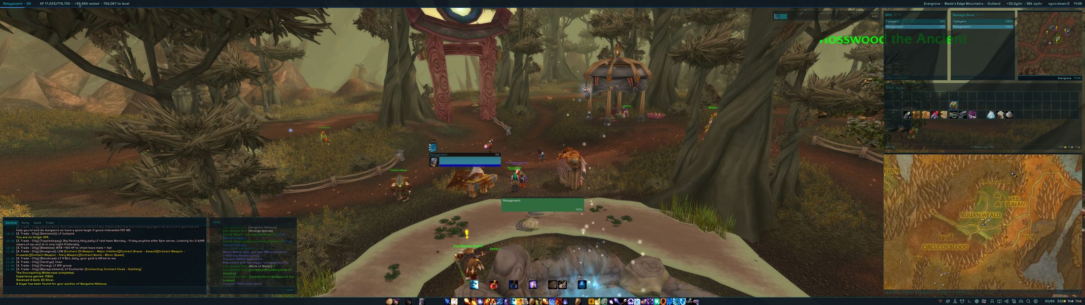 Evergrove: bags window, minimap, zone map, chat and loot windows